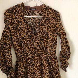 Woman’s hot & delicious rayon  Leopard Print Dress